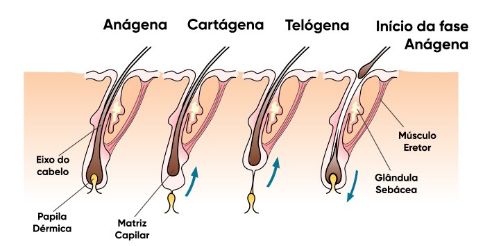 Minoxidil Plus funciona mesmo